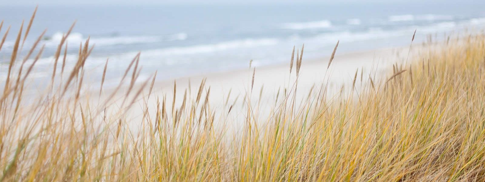 Ostseestrand
